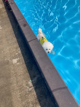 わんダフルネイチャーヴィレッジに投稿された画像（2023/7/30）