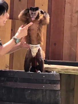 伊豆シャボテン動物公園に投稿された画像（2023/7/30）