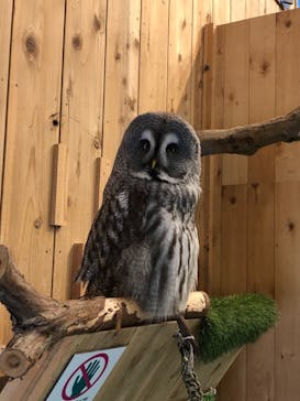 伊豆シャボテン動物公園に投稿された画像（2023/7/30）