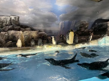 名古屋港水族館に投稿された画像（2023/7/30）