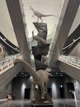 福井県立恐竜博物館に投稿された画像（2023/7/30）