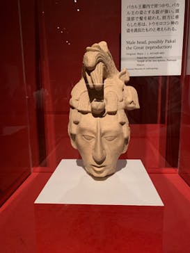 特別展「古代メキシコーマヤ、アステカ、テオティワカン」に投稿された画像（2023/7/30）