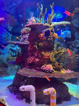 レゴランドⓇ・ジャパン・リゾートに投稿された画像（2023/7/30）