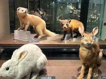 国立科学博物館に投稿された画像（2023/7/30）