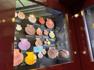 国立科学博物館に投稿された画像（2023/7/30）