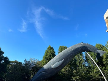 国立科学博物館に投稿された画像（2023/7/30）