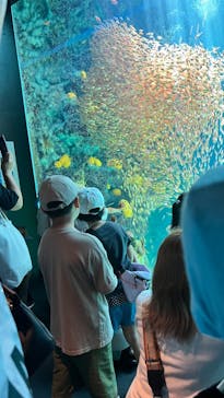 環境水族館アクアマリンふくしまに投稿された画像（2023/7/30）