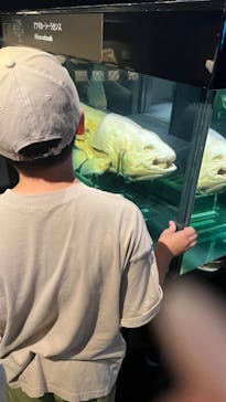 環境水族館アクアマリンふくしまに投稿された画像（2023/7/30）