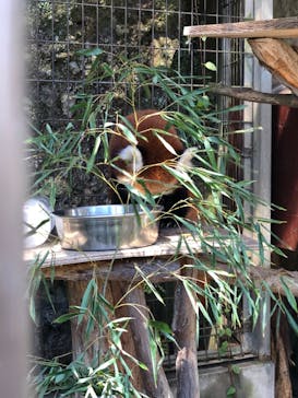 熱川バナナワニ園に投稿された画像（2023/7/30）