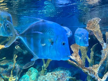 サンシャイン水族館に投稿された画像（2023/7/30）