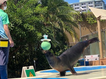 サンシャイン水族館に投稿された画像（2023/7/30）