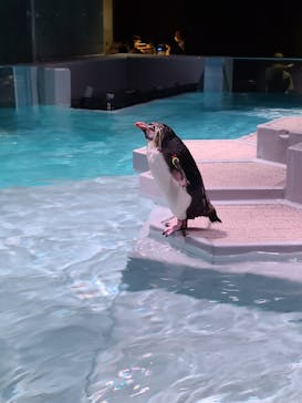 AOAO SAPPOROに投稿された画像（2023/7/30）