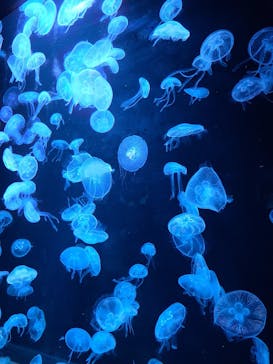 AOAO SAPPOROに投稿された画像（2023/7/30）