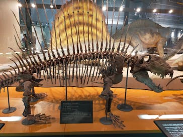 福井県立恐竜博物館に投稿された画像（2023/7/30）