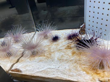 AOAO SAPPOROに投稿された画像（2023/7/30）