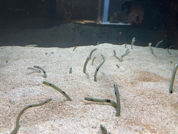 AOAO SAPPOROに投稿された画像（2023/7/30）