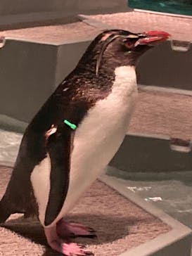 AOAO SAPPOROに投稿された画像（2023/7/30）