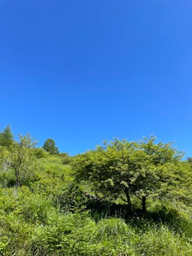 車山高原SKYPARK RESORTに投稿された画像（2023/7/30）