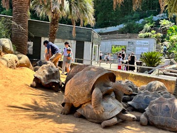 体感型動物園iZooに投稿された画像（2023/7/30）