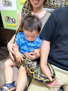 体感型動物園iZooに投稿された画像（2023/7/30）