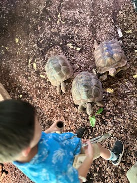 体感型動物園iZooに投稿された画像（2023/7/30）