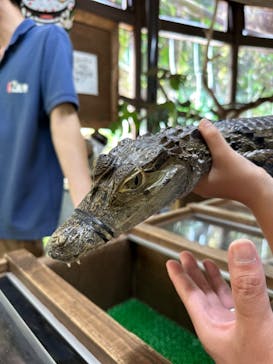 体感型動物園iZooに投稿された画像（2023/7/30）