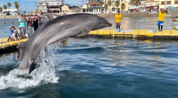 日間賀島ドルフィンビーチに投稿された画像（2023/7/30）