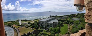 沖縄美ら海水族館に投稿された画像（2023/7/30）