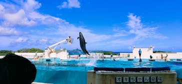 沖縄美ら海水族館に投稿された画像（2023/7/30）