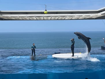 上越市立水族博物館 うみがたりに投稿された画像（2023/7/30）