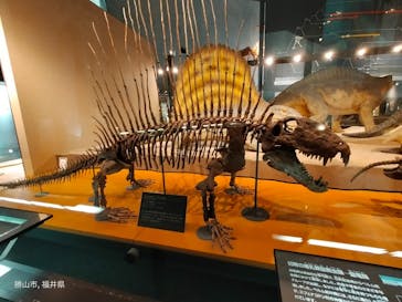 福井県立恐竜博物館に投稿された画像（2023/7/30）