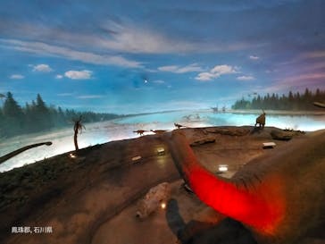 福井県立恐竜博物館に投稿された画像（2023/7/30）