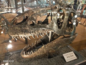 福井県立恐竜博物館に投稿された画像（2023/7/30）