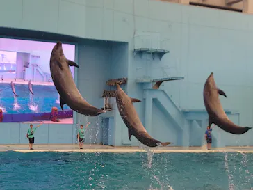 横浜・八景島シーパラダイスに投稿された画像（2023/7/30）