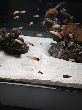 AOAO SAPPOROに投稿された画像（2023/7/30）