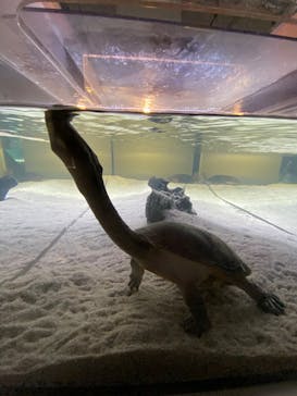 AOAO SAPPOROに投稿された画像（2023/7/30）