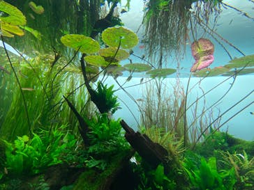 AOAO SAPPOROに投稿された画像（2023/7/30）