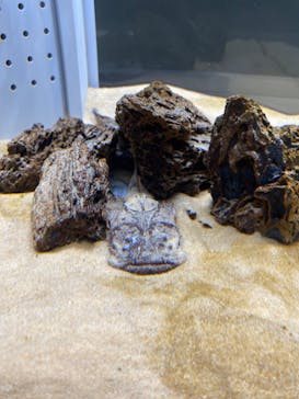 AOAO SAPPOROに投稿された画像（2023/7/30）