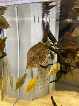 AOAO SAPPOROに投稿された画像（2023/7/30）