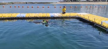 日間賀島ドルフィンビーチに投稿された画像（2023/7/30）