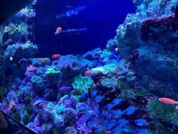 マクセル アクアパーク品川に投稿された画像（2023/7/30）