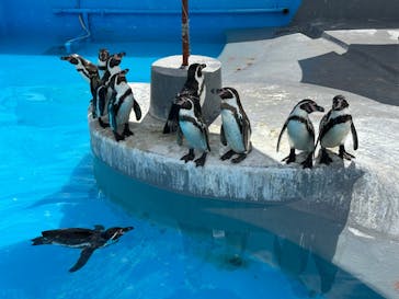 南知多ビーチランド＆南知多おもちゃ王国に投稿された画像（2023/7/30）