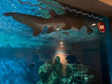 しながわ水族館に投稿された画像（2023/7/30）