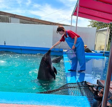 ゼロ距離水族館 伊勢シーパラダイスに投稿された画像（2023/7/30）