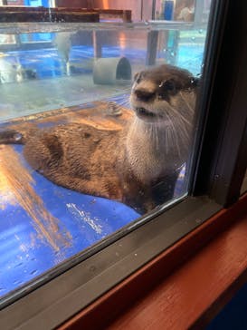 ゼロ距離水族館 伊勢シーパラダイスに投稿された画像（2023/7/30）