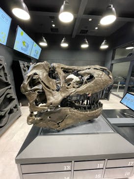 福井県立恐竜博物館に投稿された画像（2023/7/30）