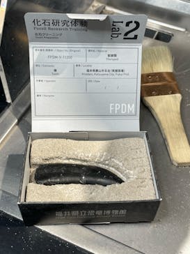 福井県立恐竜博物館に投稿された画像（2023/7/30）