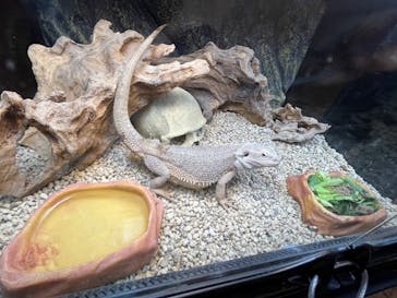 NARA IKIMONO MUSEUMに投稿された画像（2023/7/30）