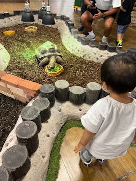 NARA IKIMONO MUSEUMに投稿された画像（2023/7/30）