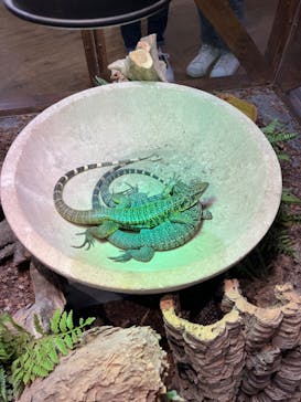 NARA IKIMONO MUSEUMに投稿された画像（2023/7/30）